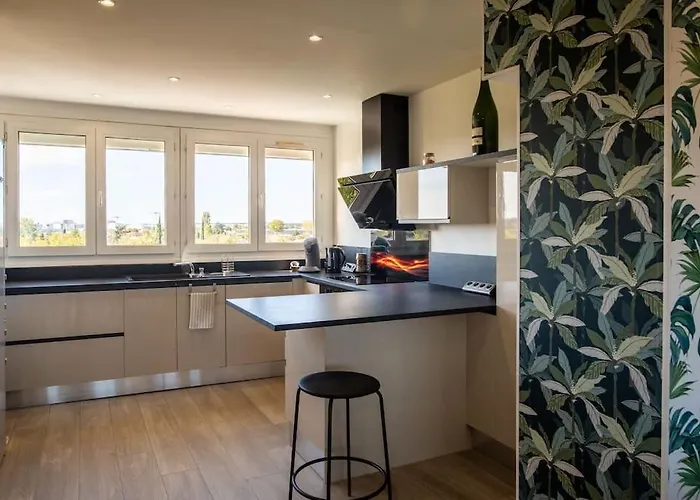 Le Sauge - Apartmán Beauzelle